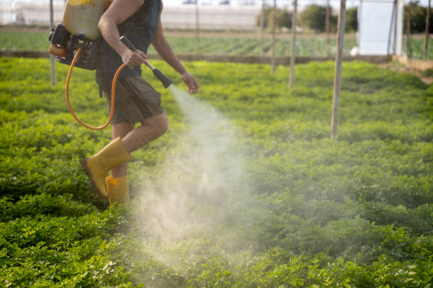 Best Pest Prevention Services  in Wanakah, NY